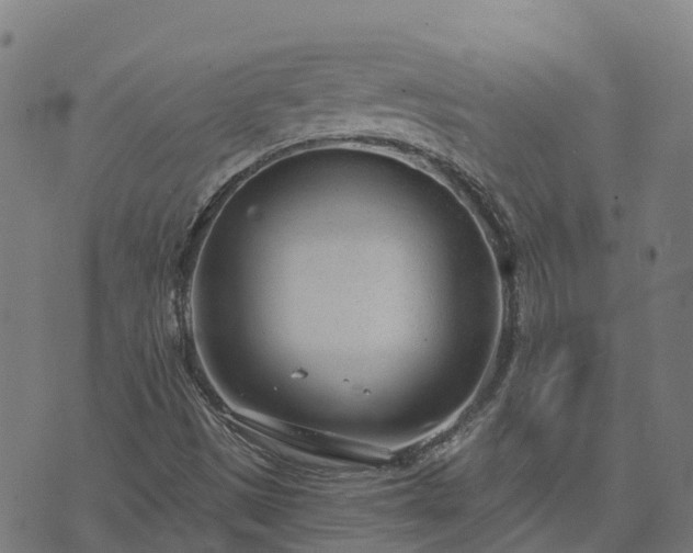 X0000074941497200609081337