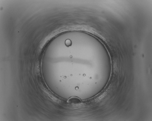 X0000074941498200609081338