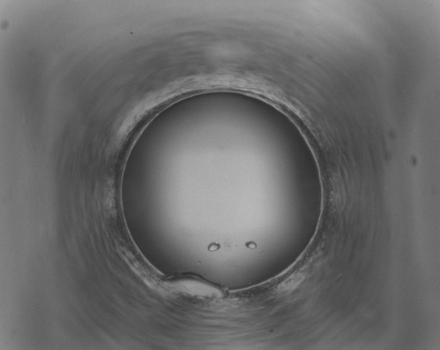 X0000074941499200609081338