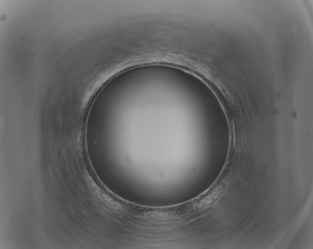 X0000074941500200609081338