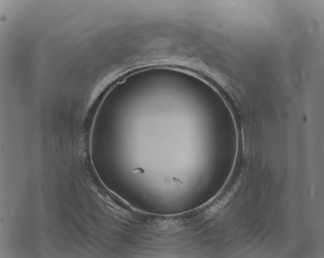 X0000074941501200609081338