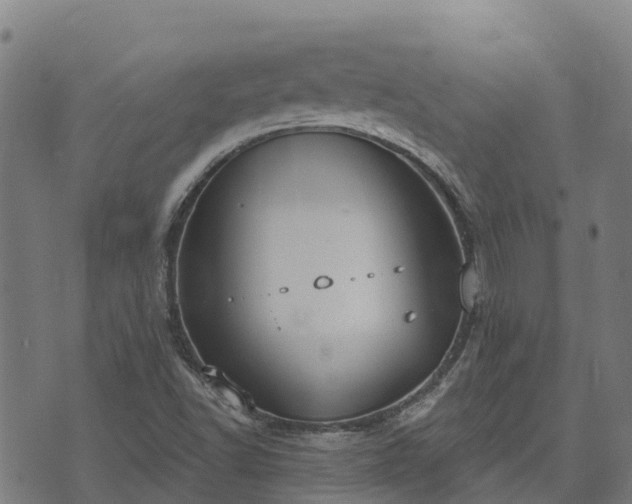 X0000074941502200609081338