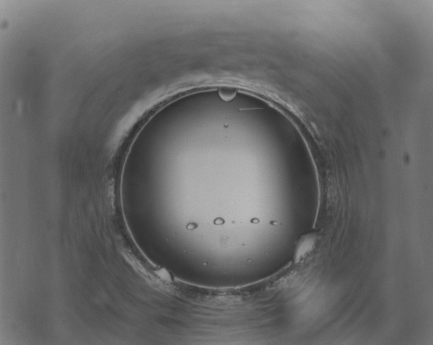 X0000074941503200609081338