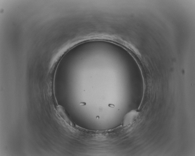 X0000074941504200609081338