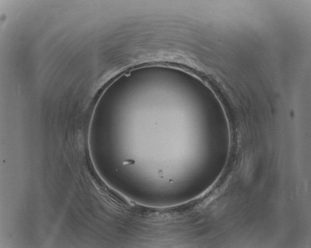 X0000074941505200609081338