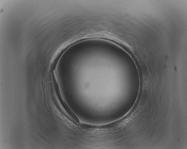 X0000074941506200609081338