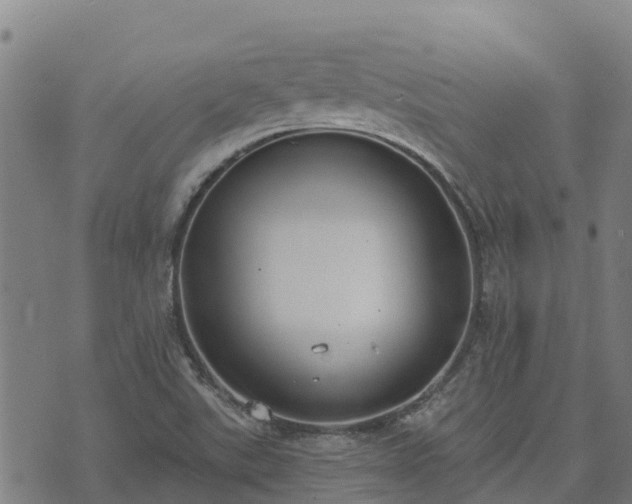 X0000074941507200609081338