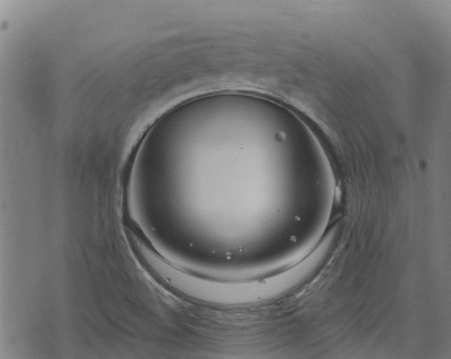 X0000074941508200609081338