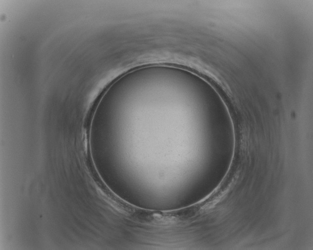 X0000074941509200609081338