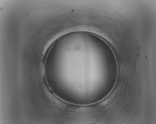 X0000074941510200609081338