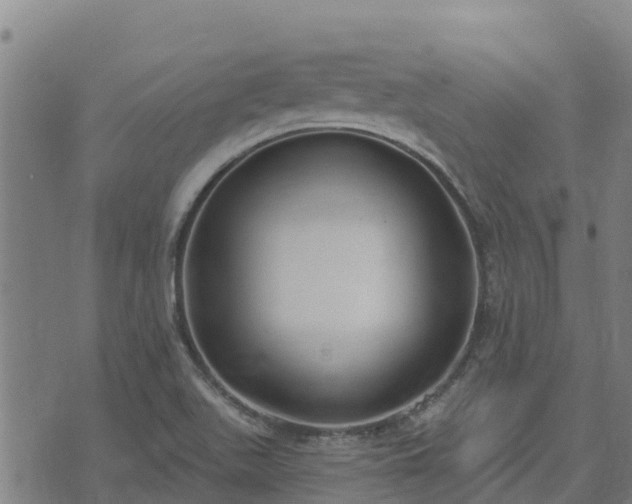 X0000074941511200609081338