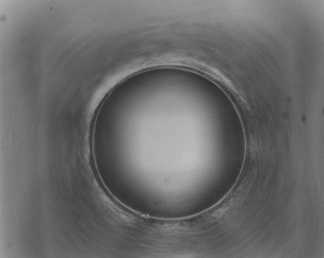 X0000074941512200609081338