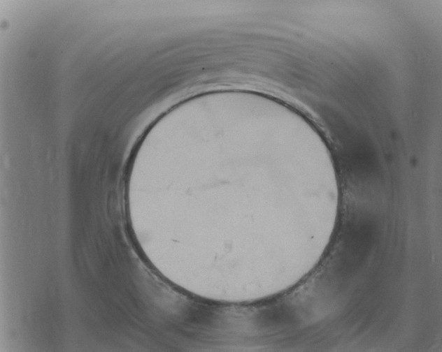 X0000074941514200609081338