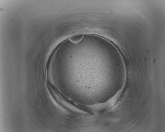 X0000074941515200609081338