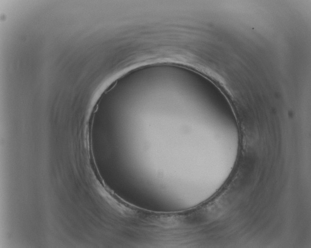 X0000074941516200609081338