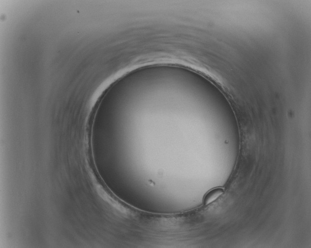 X0000074941518200609081338