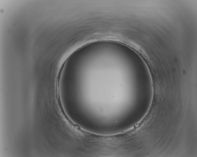 X0000074941520200609081338