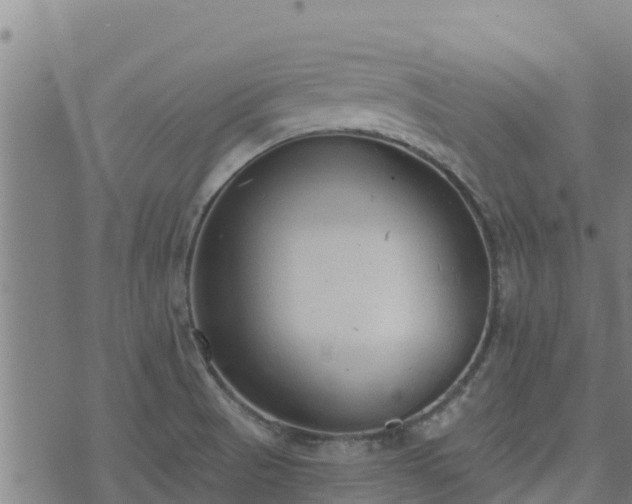 X0000074941521200609081338