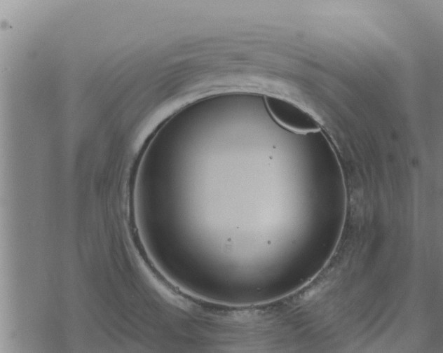 X0000074941523200609081338