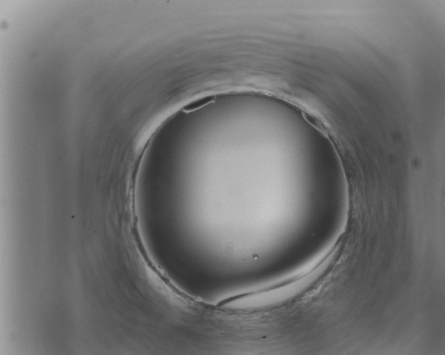 X0000074941524200609081338