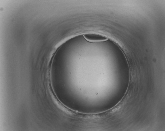 X0000074941526200609081338