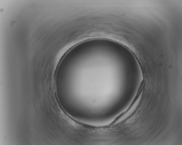 X0000074941527200609081338