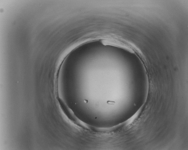 X0000074941528200609081338