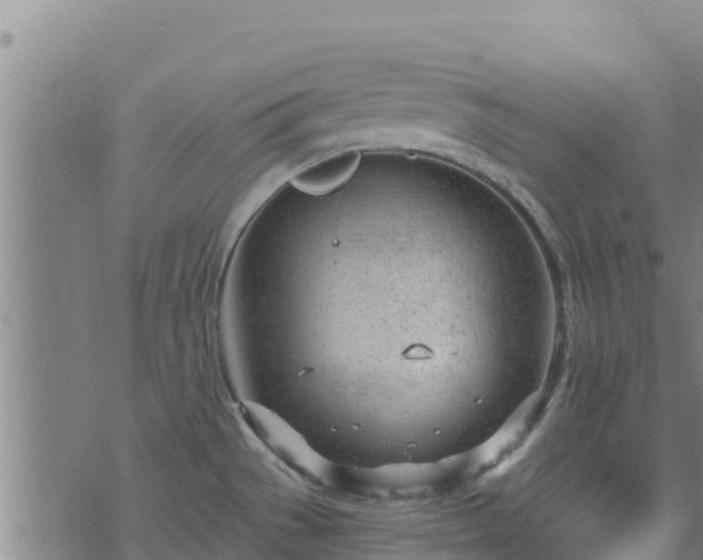 X0000074941529200609081338