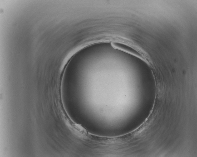 X0000074941530200609081338