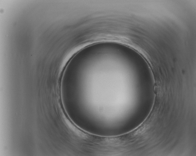 X0000074941531200609081338