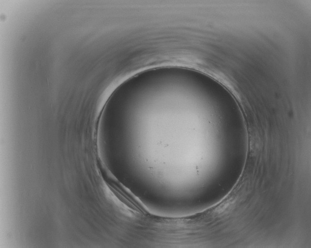 X0000074941532200609081338