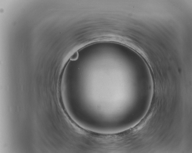 X0000074941533200609081338