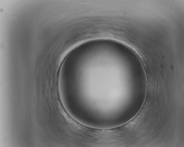 X0000074941534200609081338