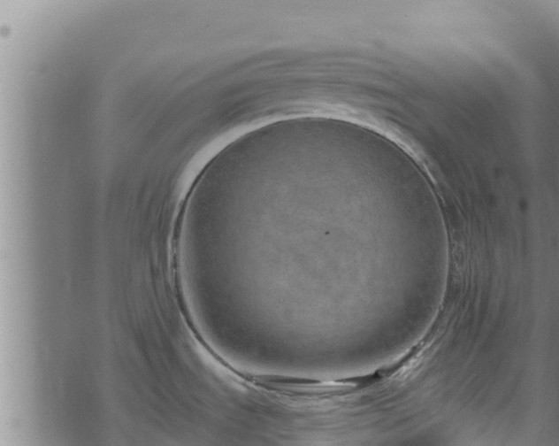 X0000074941535200609081338