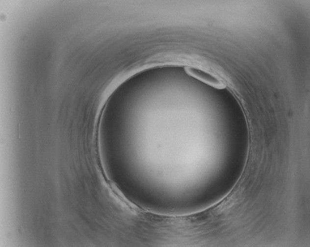 X0000074941536200609081338