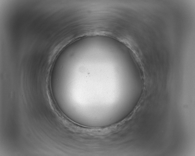 X0000074940001200609152017