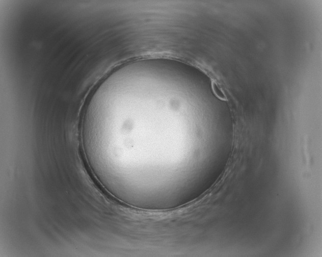 X0000074940002200609152017