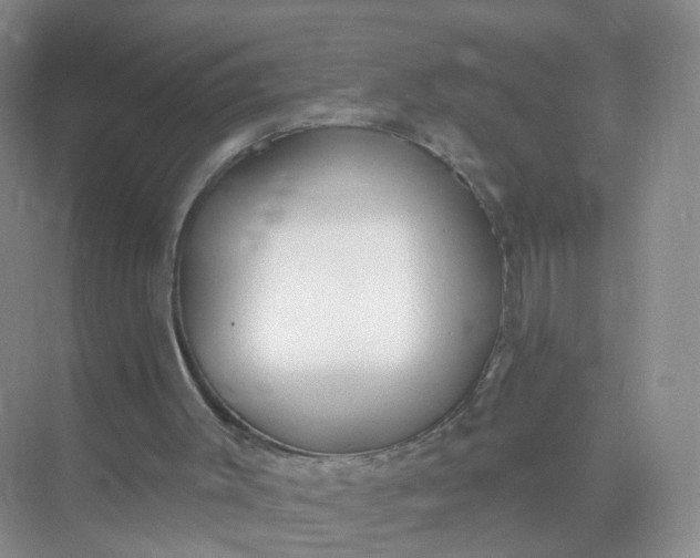 X0000074940003200609152017