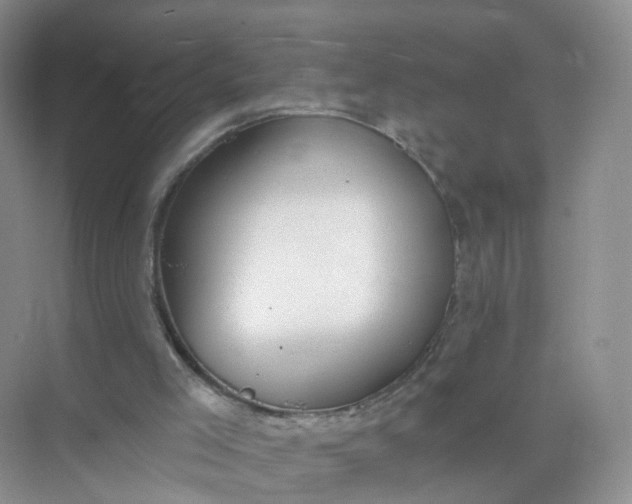 X0000074940005200609152017