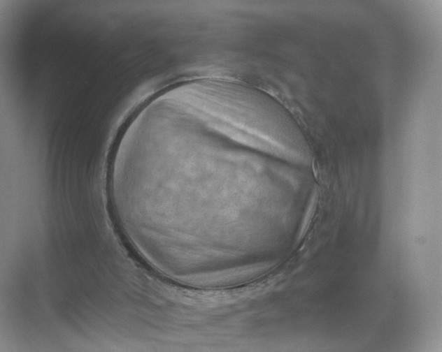 X0000074940006200609152017