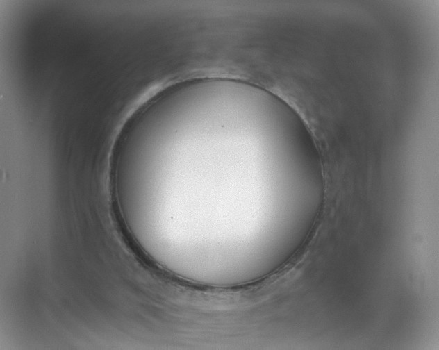 X0000074940008200609152016