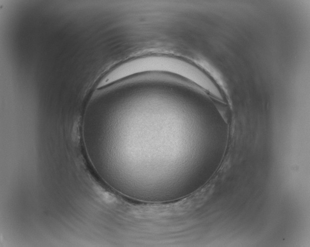 X0000074940009200609152016