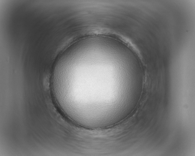 X0000074940010200609152016