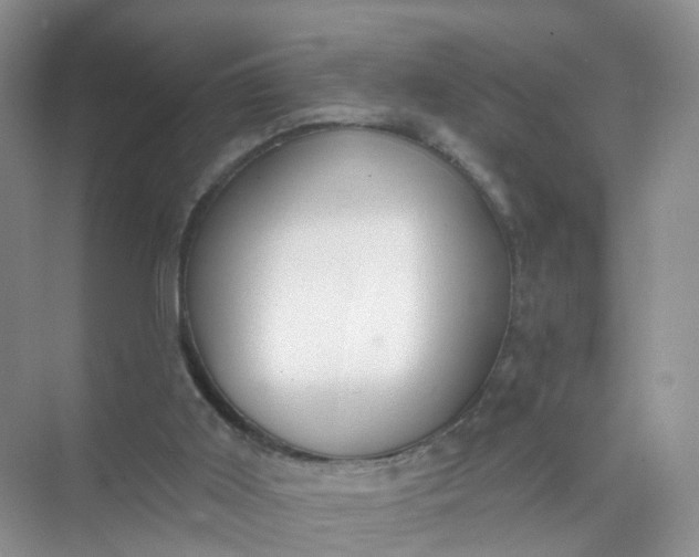 X0000074940011200609152016