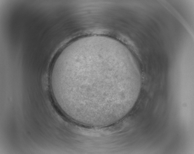 X0000074940012200609152016