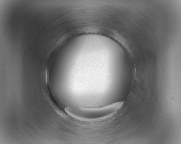 X0000074940013200609152016