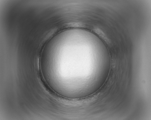 X0000074940014200609152016