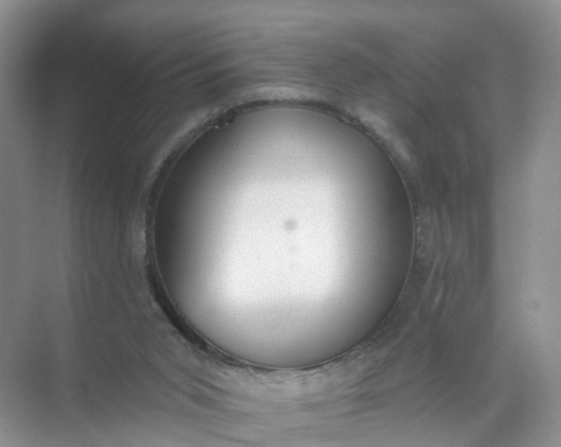 X0000074940015200609152016