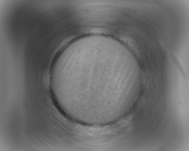 X0000074940016200609152016