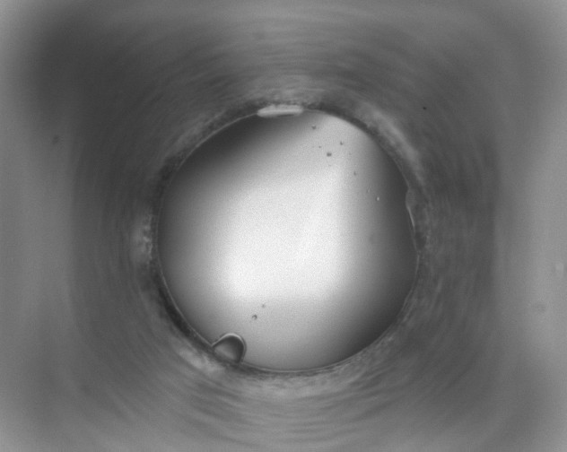 X0000074940017200609152016